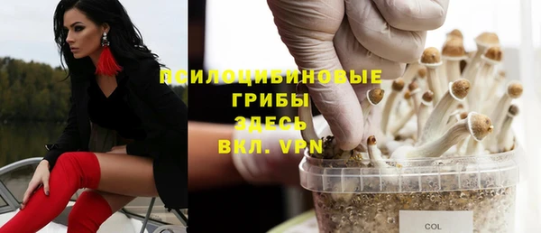 прущие грибы Вяземский