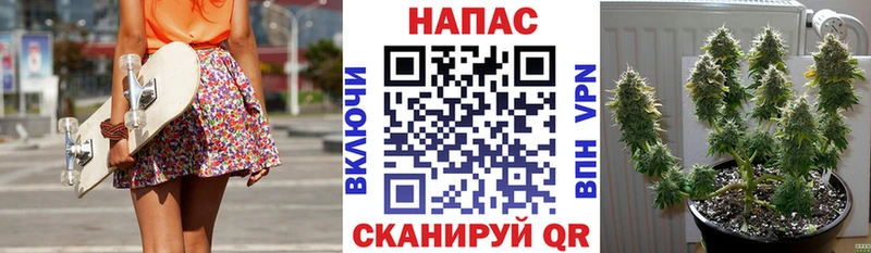 Конопля семена blacksprut рабочий сайт Далматово
